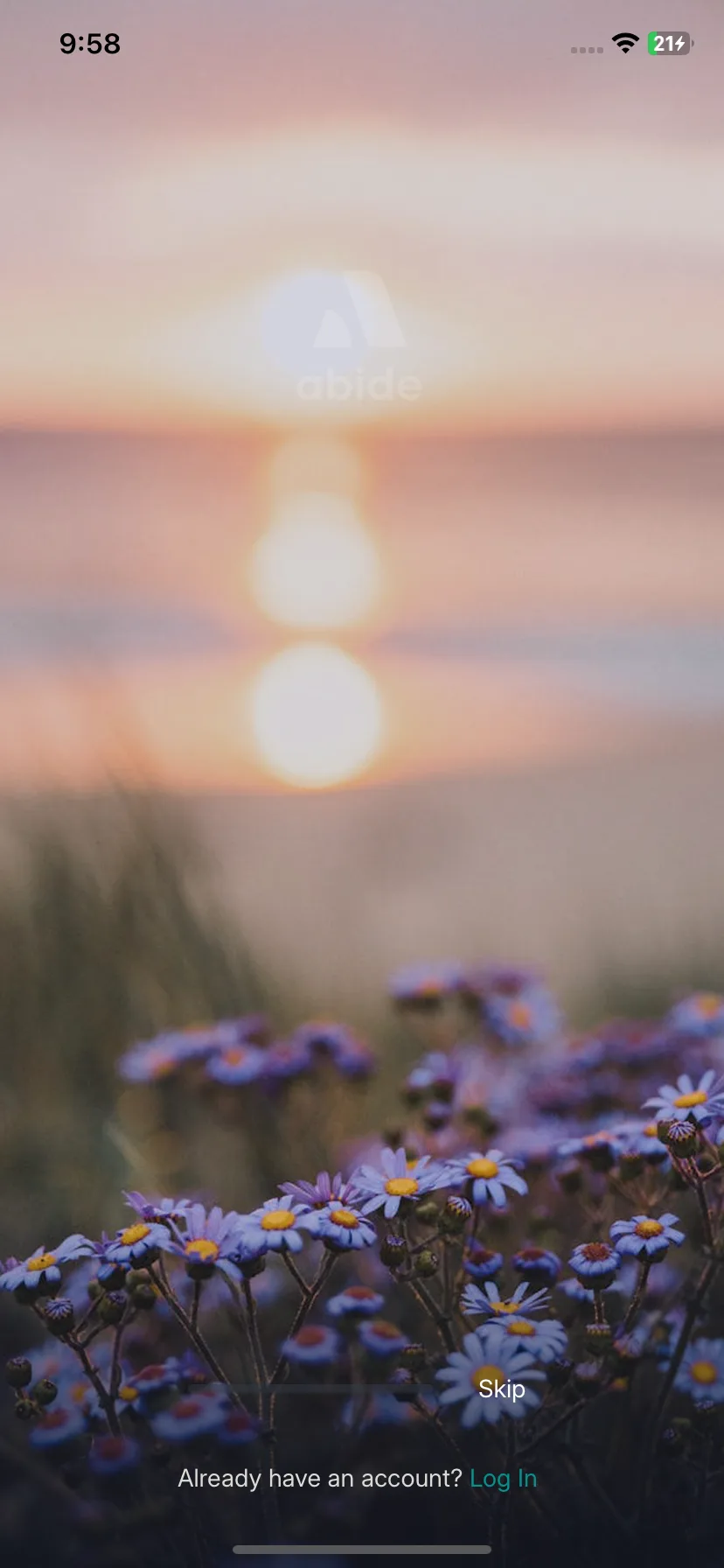 Test Image 1